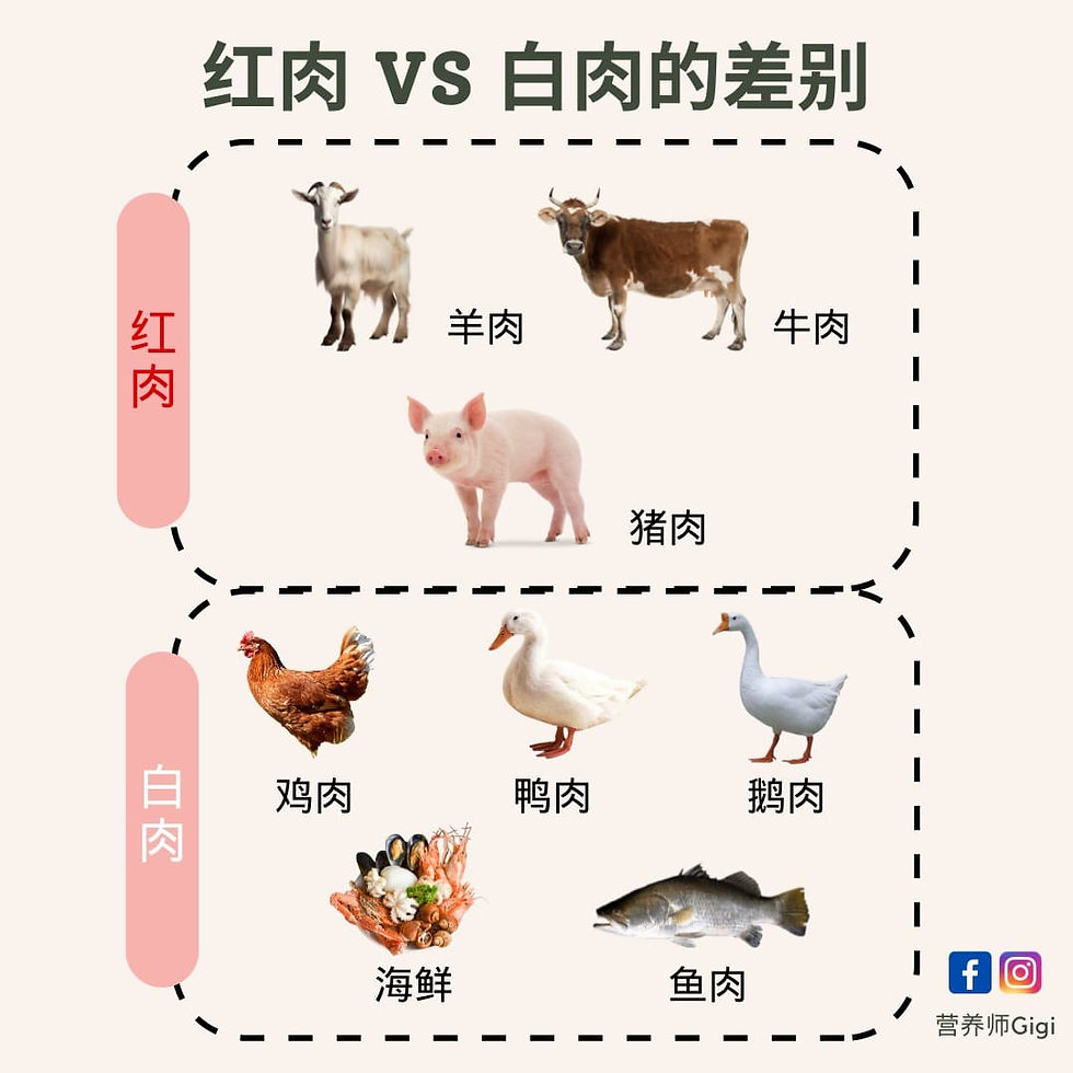 红肉VS白肉的差别