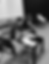 _sarahbeauchamps5_edited.png
