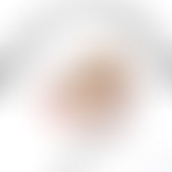 A Lazy Egg Reviews