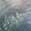 Thumbnail: Fernery -Framed