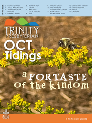 2022.10 Tidings - October COVER.png