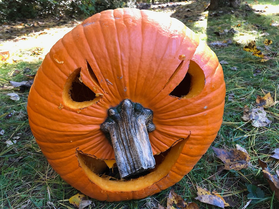 Tidings Newsletter - October 2026