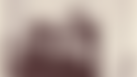 Trinity Presbyterian Church celebrates 60 Years in Hendersonville!