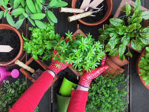 PW Spring Gathering - Mar 19