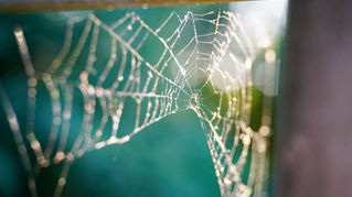 Tidings Newsletter - September 2026 