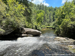 It Shouldn’t Take A Lawsuit to Make the Forest Service Comply With Federal Law