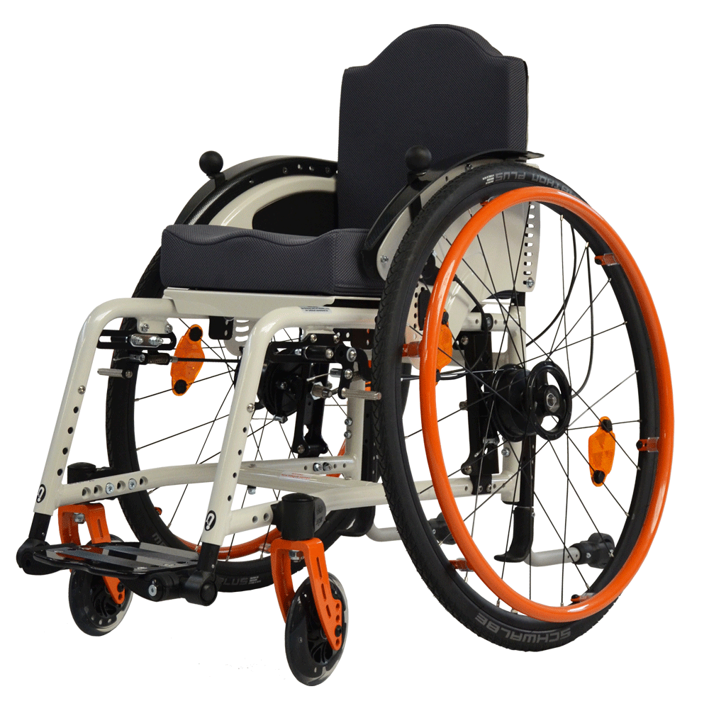 Vector