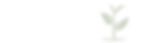 Loopbaancoach, loopbaancoach Vorden, Loopbaancoach Doetinchem, loopbaancoach Zutphen, Loop