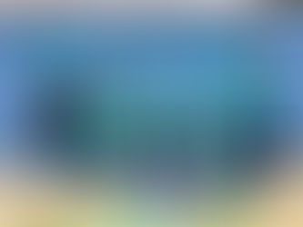 Erfolgreicher Auftakt der F- Jugend in das neue Jahr!