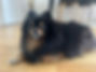 image1 (17).jpeg