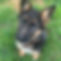 A3157960-0B20-46C1-A786-64A08618AD14.JPG
