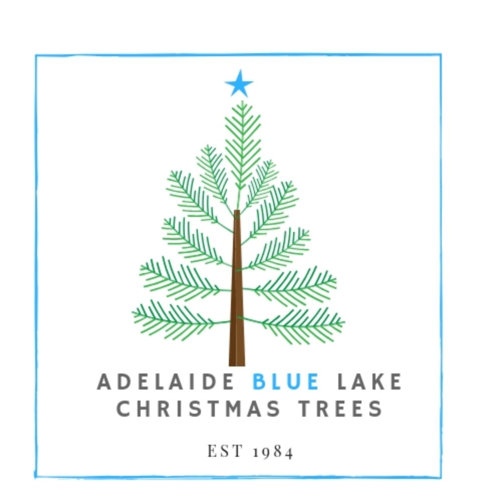 After Christmas Tree Removal Service