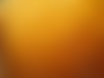 Hive-to-Table: The Journey of Your Honey