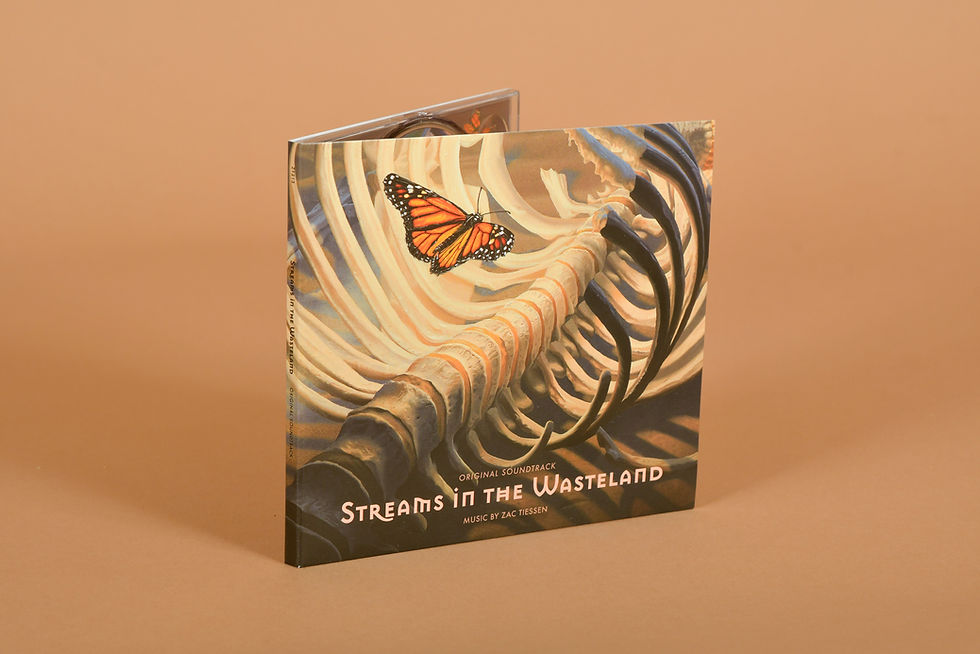 Thumbnail: A Decade of Inspiration + Streams in the Wasteland + CD Soundtrack