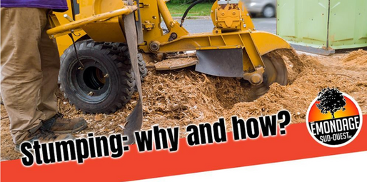 Stump Removal: Why and How?
