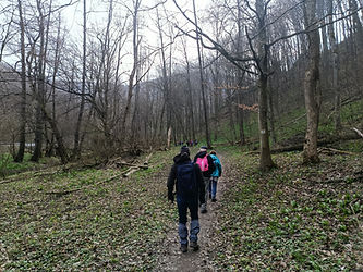 Életképek