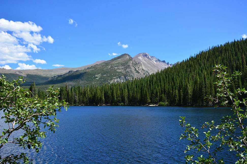 AdobeStock_169360453.jpeg