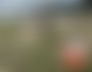 Orienteringsleg 16. maj er tilpasset Corona