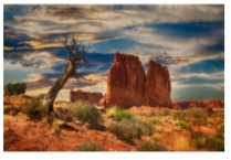 A National Park is a Free Kids Activity