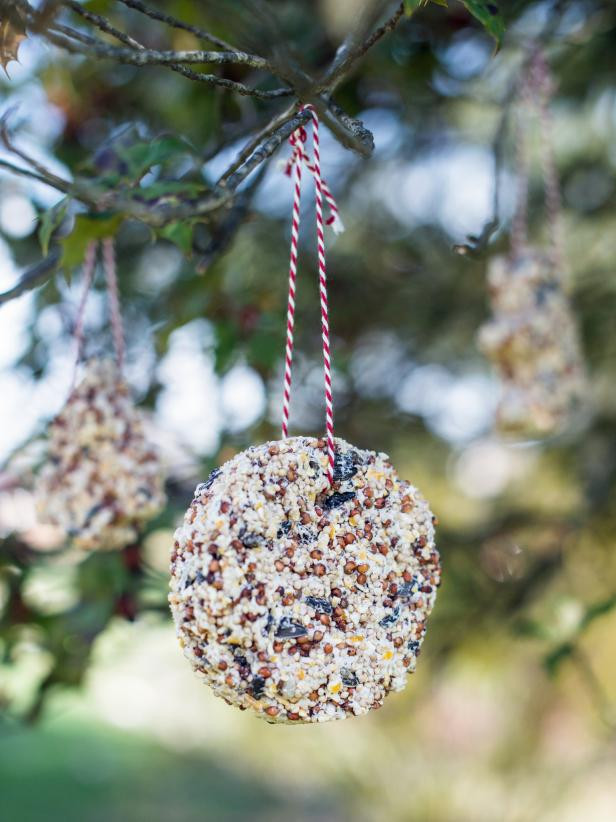 diy bird feeder project