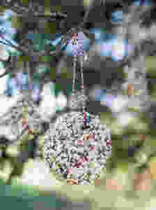 diy bird feeder project