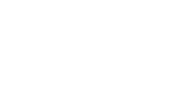 logo_wt.png