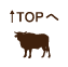 top.png
