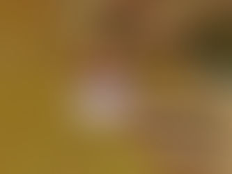 帰ってきた「うすき夜市」