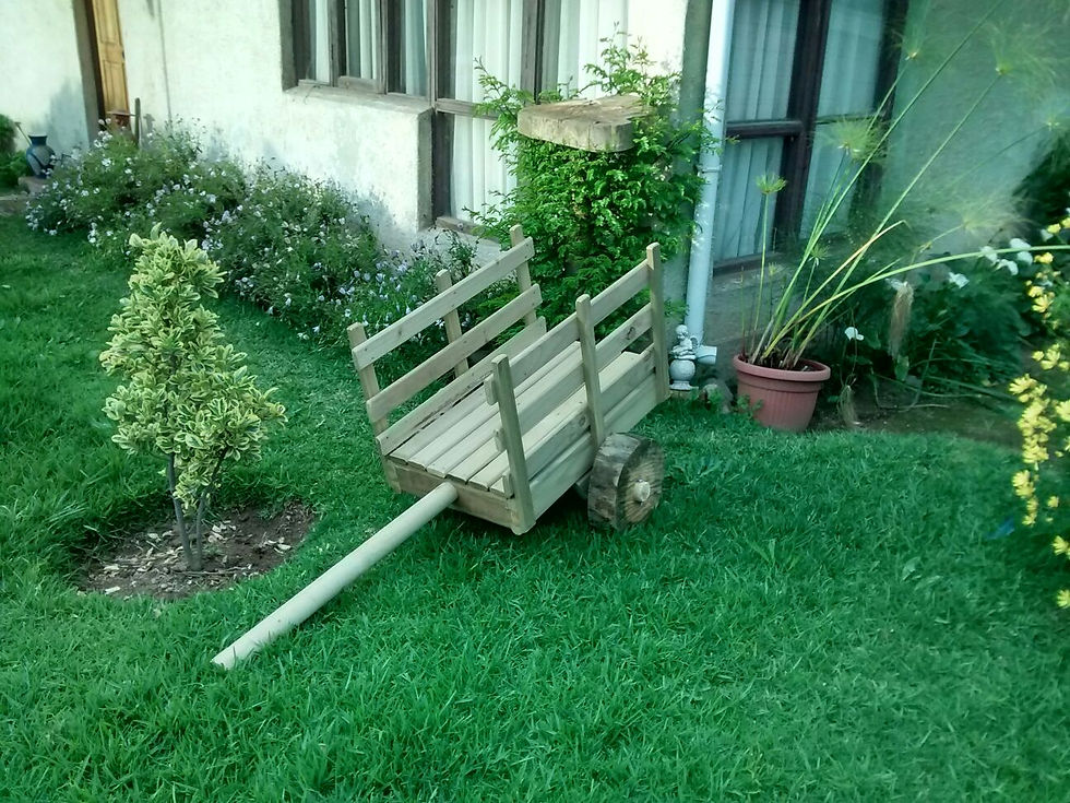 CARRETA IMPREGNADA