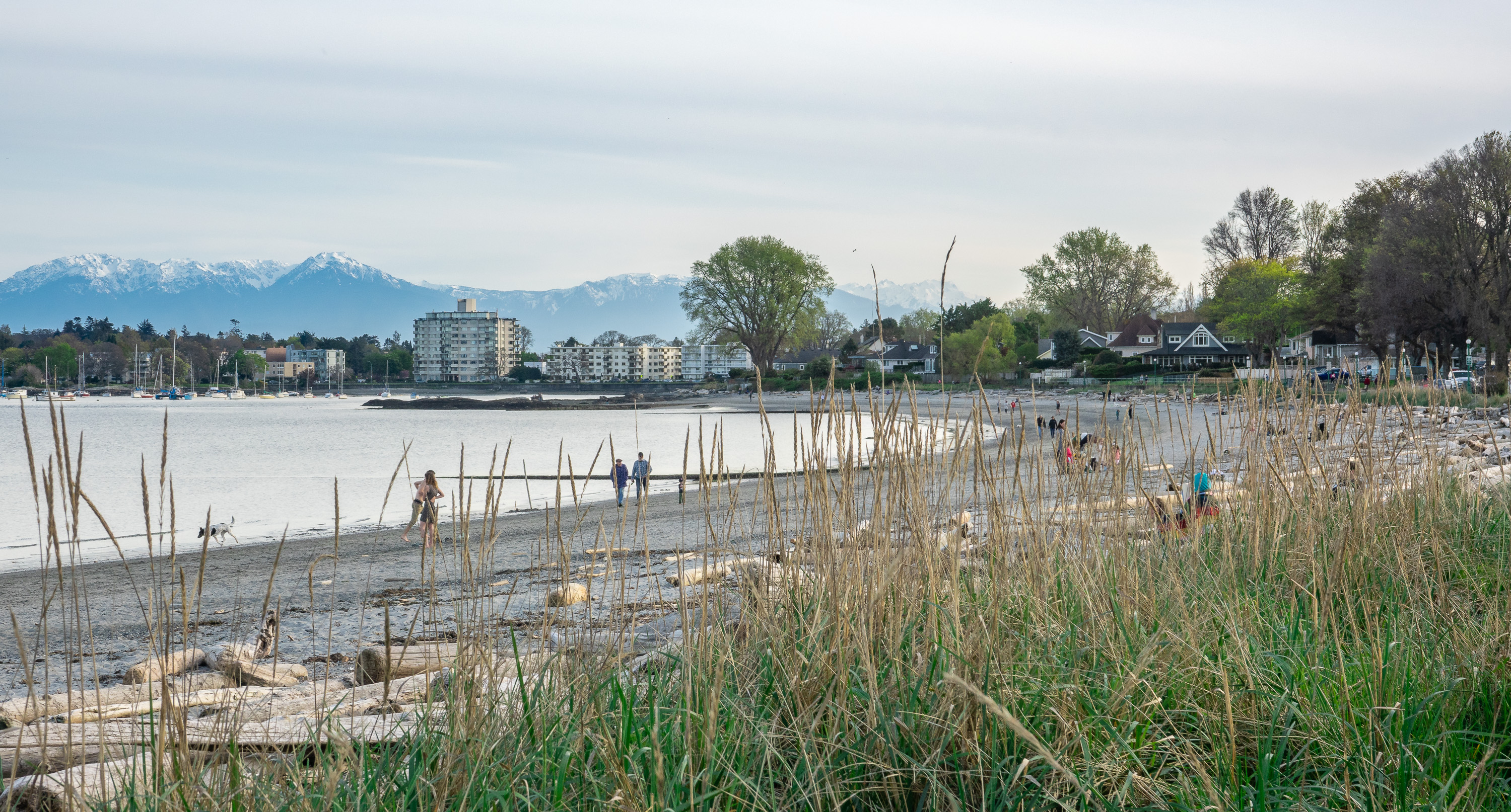 Willows Beach Evening
