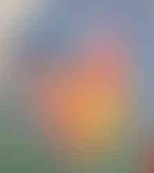 Concordia Schule | Robert Kaller