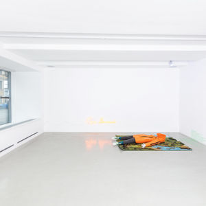 Contemporary Art Anna Cherepanova Artist Vitalii Cherepanov Artist, Contemporary art Installation, park volny, Cickindunt, CCTV Movie, theater under surveillance cameras, Cherepanovy artists, European videoart and installation, open storage under CCTV, Exhibition in ST. petersburg Anna Nova  
