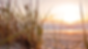 CTL Summer Newsletter - August 2022