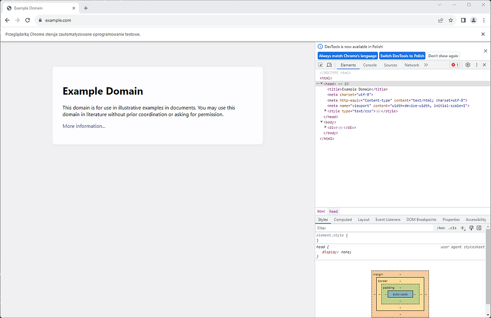page loaded with devtools open