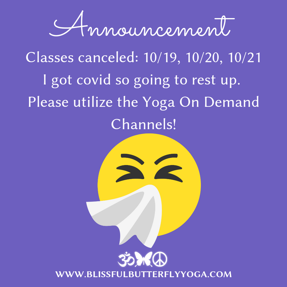 Yoga In The Woods Livestream Classes Canceled yoga-in-the-woods-livestream-classes-canceled