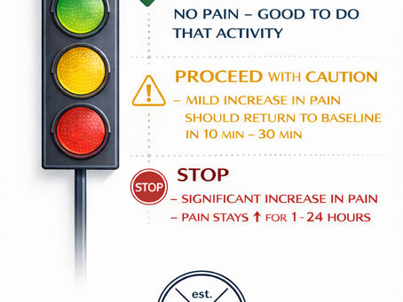 Traffic light pain model used in physical therapy to guide patients on when to continue, modify, or stop activity based on pain response