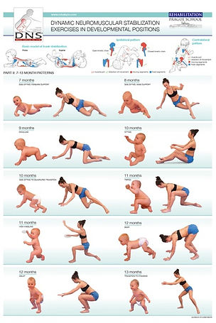 Dynamic Neuromuscular Stabilization Oak Park River Forest Physical Therapy
