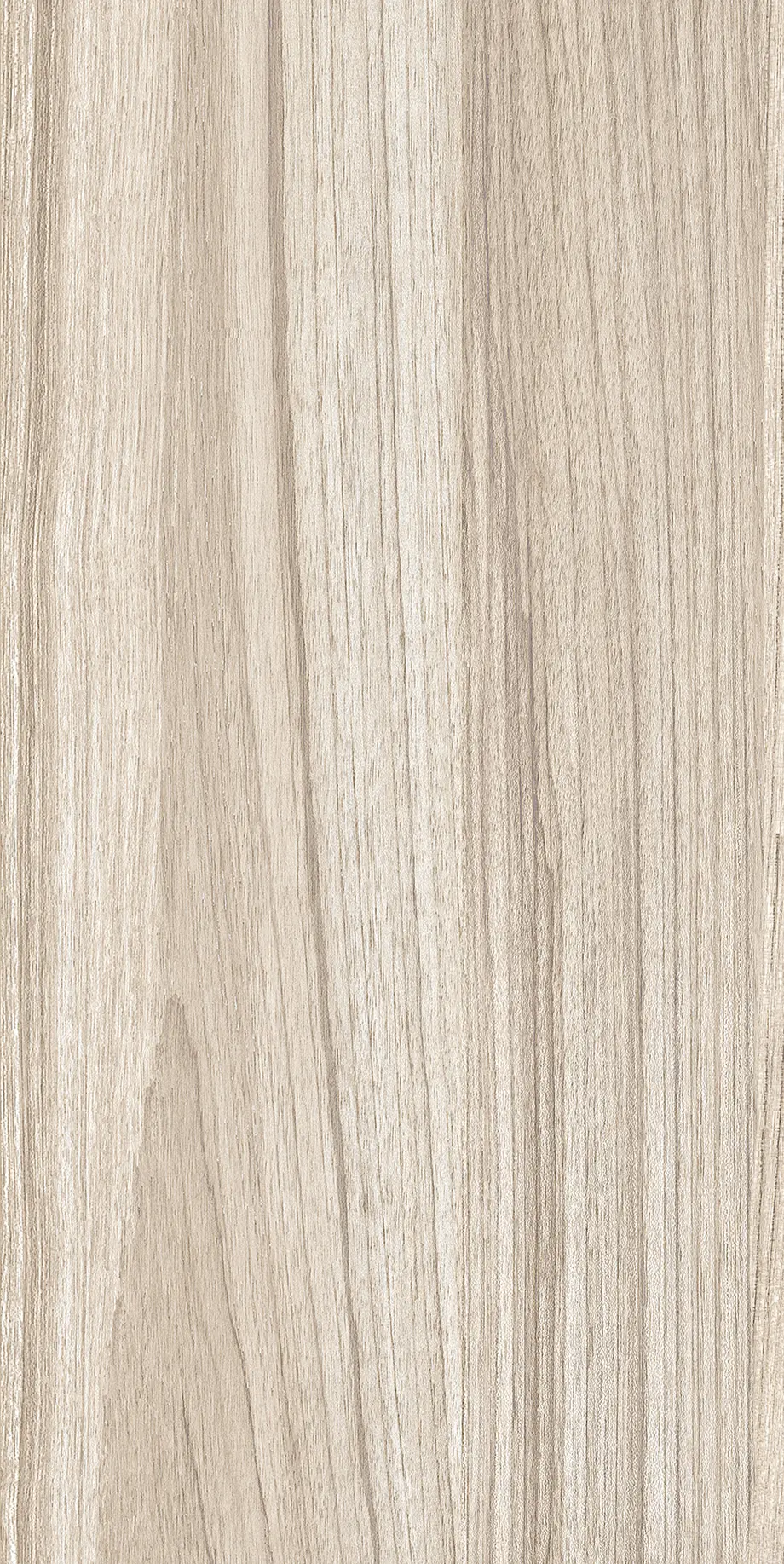 Miniatura: Sándalo Gris