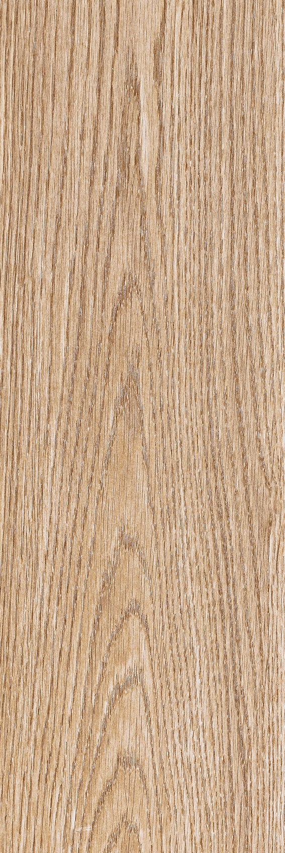 Miniatura: Roble Beige