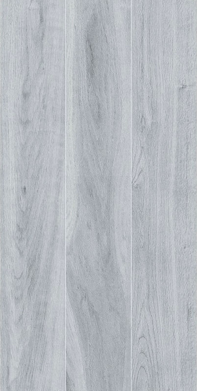 Miniatura: Cardón Fresno