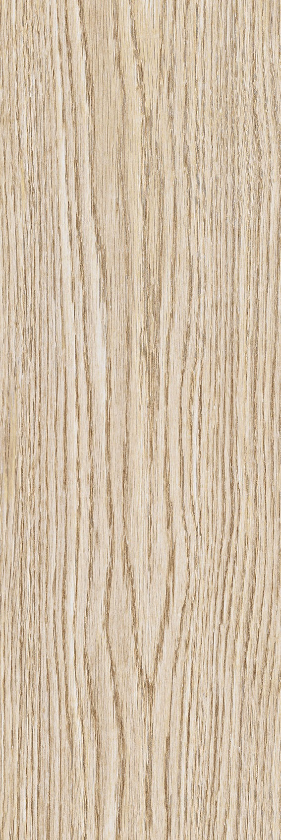 Miniatura: Roble White