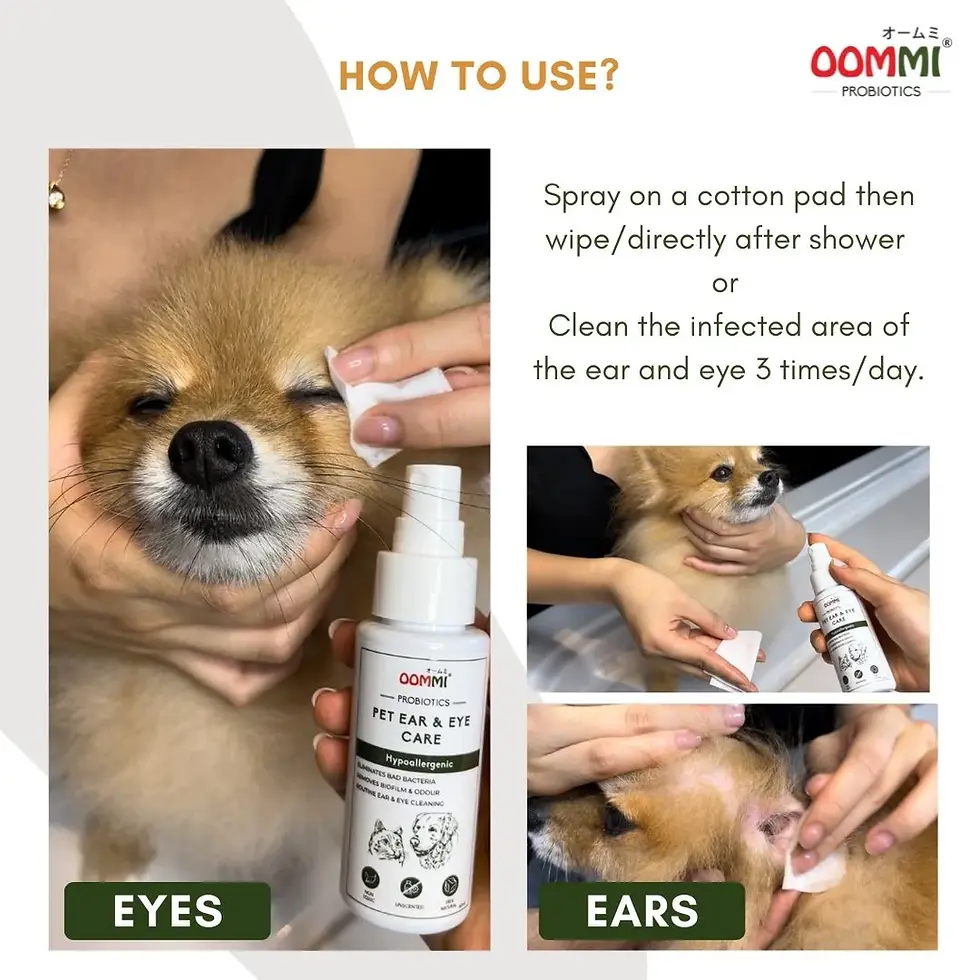 Thumbnail: OOMMI Pet Ear and Eye Care 60ML
