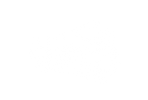 GRAFICOS E TABELAS - RAI24 BRF (1).png