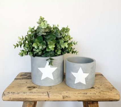 Thumbnail: Cement Star Planter