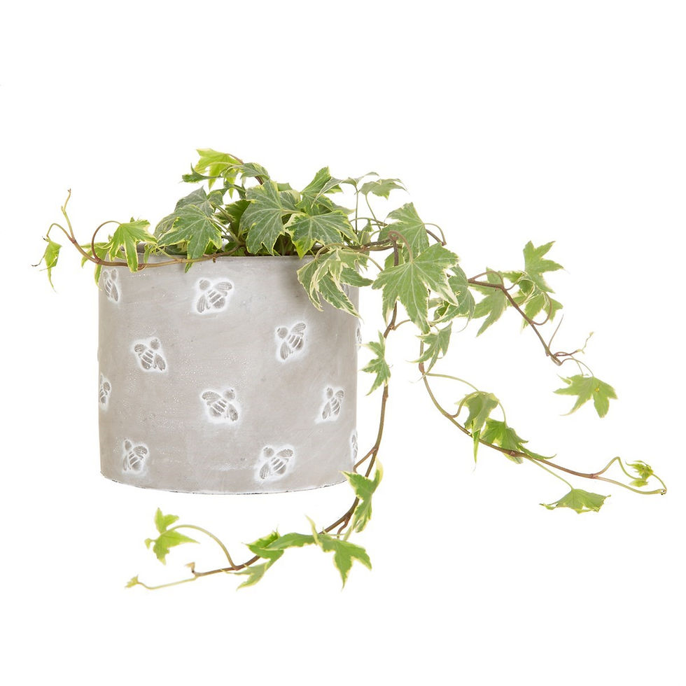 Thumbnail: Queen Bee Cement Planter