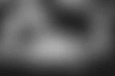 IMG_8199-Avec accentuation-NR.jpeg