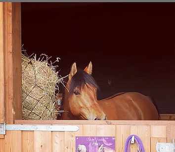 Rehaplätze Rehaboxen