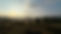 468433759_122106553574629221_3122524663009156901_n.jpg