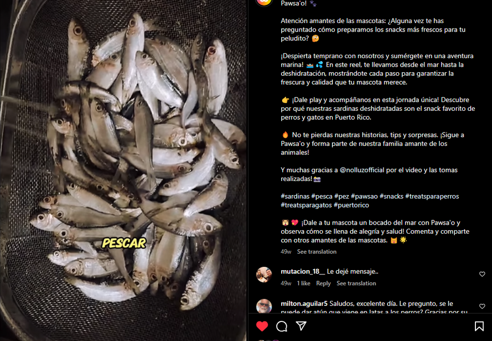 Imagen de sardinas