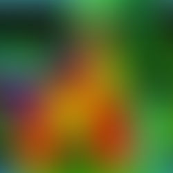 About the fibro flare